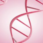 Что такое ген BRCA ?