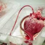 Сколько в среднем бьется человеческое сердце за всю жизнь ?