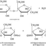 Каковы три химических свойства сахарозы ?